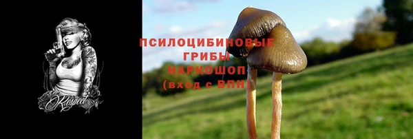 трава Аркадак