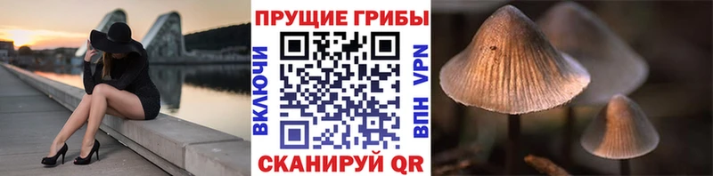 Галлюциногенные грибы ЛСД  закладка  Можга 